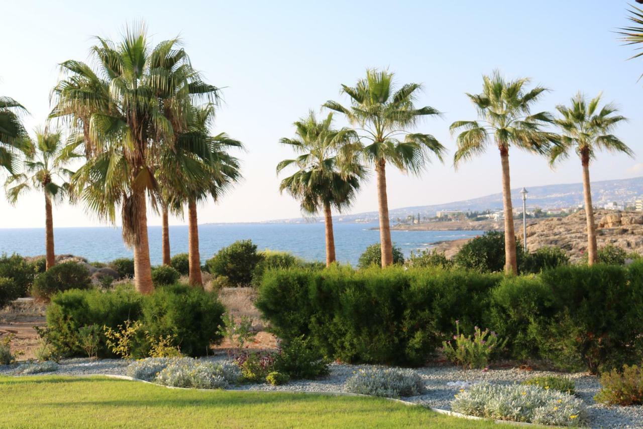Yulya Villa By Taimoura Paphos Buitenkant foto