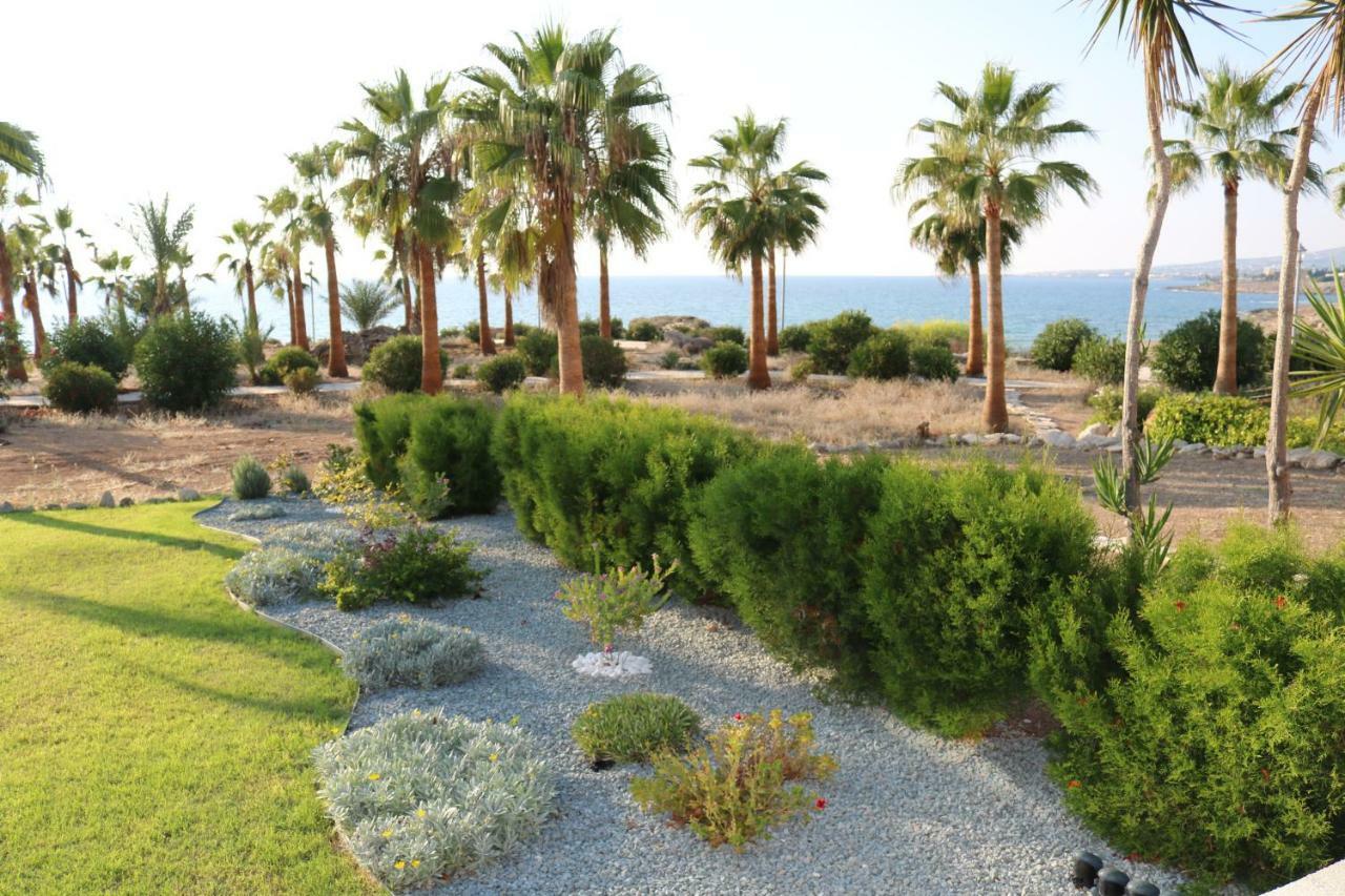 Yulya Villa By Taimoura Paphos Buitenkant foto